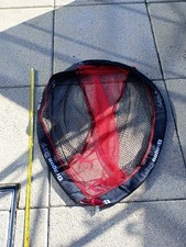 Dragon carp commercial for sale  CHESTER