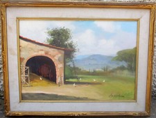 Franco biondi paesaggio usato  Italia