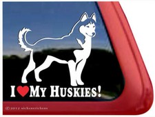 Love huskies siberian for sale  Olympia