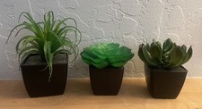 Cute set assorted for sale  Lakeport