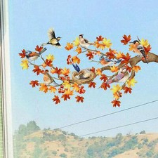 Pellicola decorativa per usato  Spedire a Italy