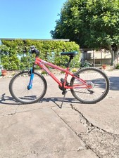 Bicicletta ragazzo mountain usato  Adria