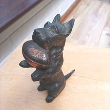 scottish terrier for sale scottish terrier for sale LONDON