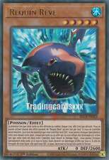 Requin rêve ur d'occasion  France