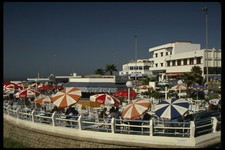 229010 bright umbrellas for sale  UK