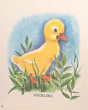 Charming baby duck for sale  Warwick