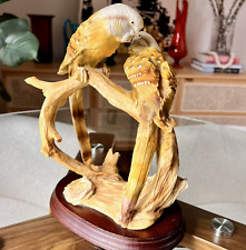 Arnart pucci parakeets for sale  Aptos