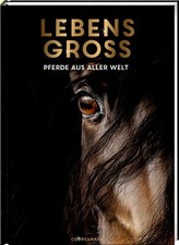 Lebensgroß gebraucht kaufen  Berlin