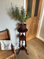Vintage antique plant for sale  GAINSBOROUGH