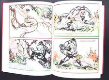 Tarzan könig dschungels gebraucht kaufen  Saarbrücken
