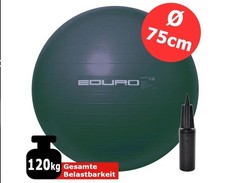 Gymnastikball pumpe fitnessbal gebraucht kaufen  Schwarzenbek