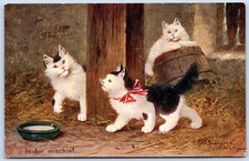 Postcard mischief kittens for sale  Riverside