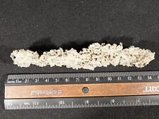 Long tubular fulgurite for sale  Salt Lake City
