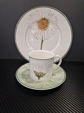 Villeroy boch flora gebraucht kaufen Villeroy boch flora gebraucht kaufen  Jestetten