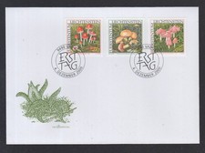 Liechtenstein 2000 fdc gebraucht kaufen  Eppelborn