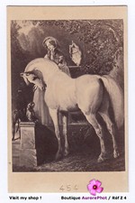 peinture cheval d'occasion peinture cheval d'occasion Expédié en Belgium