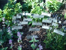 Kräuterstecker blumenstecker  gebraucht kaufen  Hallerndorf