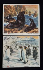 Voss margarine kunstbilder gebraucht kaufen  Blankenburg
