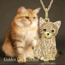 Gold cat kitten for sale  COVENTRY