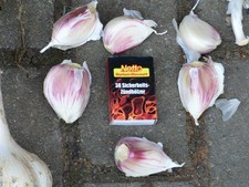 Knoblauch riesenknoblauch 10 gebraucht kaufen  Sonneberg