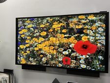 Bang olufsen beovision for sale  BEXLEYHEATH