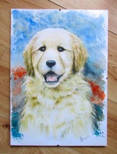 Portrait original golden d'occasion Portrait original golden d'occasion  Expédié en France