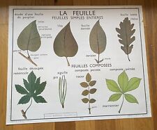 Ancienne carte affiche d'occasion  Lilles-Lomme