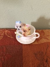 poodle teacup for sale poodle teacup for sale Tremont