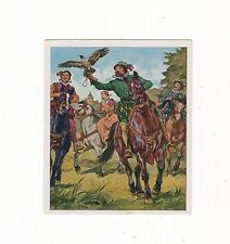 falkenjagd gebraucht kaufen falkenjagd gebraucht kaufen Prösen