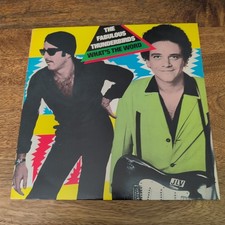 Fabulous thunderbirds word for sale  HARROGATE