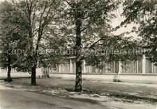 Wusterhausen dosse kreislandwi gebraucht kaufen  Deutschland