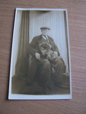 John hodgkins pekingese for sale  SWANSEA