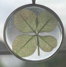 Gold irish cased for sale  LONDON