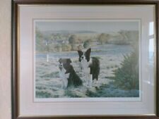 Workng pair steven for sale  ROCHDALE