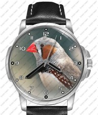 Zebra finch black for sale Zebra finch black for sale  STOCKTON-ON-TEES