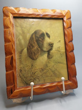 Ruane manning spaniel for sale  Pueblo