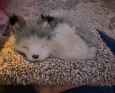 Perfect petzzz mini for sale  Hialeah