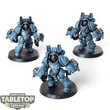 Space wolves primaris gebraucht kaufen  Hof