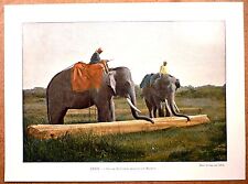 Elephants dragging log d'occasion  Expédié en Belgium