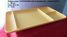 Plateau repas tupperware d'occasion  France