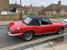 Selling truimp stag for sale Selling truimp stag for sale  LONDON