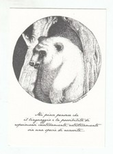 Cartolina con annullo usato  Settimo Torinese
