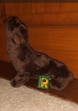 Ravensden brown seal for sale  NORWICH