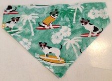Surfing dog small for sale  Taylors