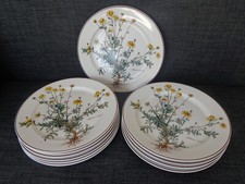 Villeroy boch botanica gebraucht kaufen  March
