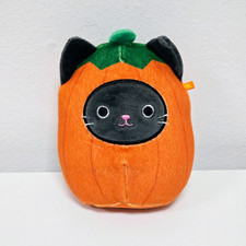 Calio pumpkin cat for sale  GLASGOW