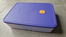 Tupperware eiszeit gefrierbeh� gebraucht kaufen  Rheda-Wiedenbrück