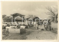 1937 aoi somalia usato  Milano