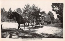 LA FLORESTA, URUGUAI ~ CARRINHO PUXADO POR CAVALOS EM BALNEARIO, FOTO REAL PC ~ DÉCADA DE 1920 comprar usado  Enviando para Brazil
