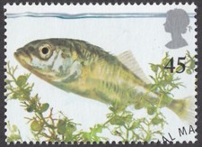 Pond life three for sale  LAMPETER